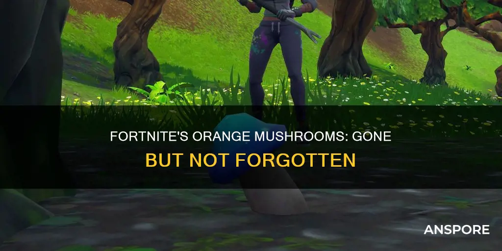 did fortnite remove orange mushrooms