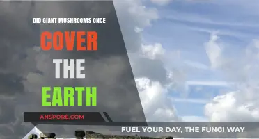 Giant Mushrooms: Earth's Ancient, Towering Fungal Forests Revealed