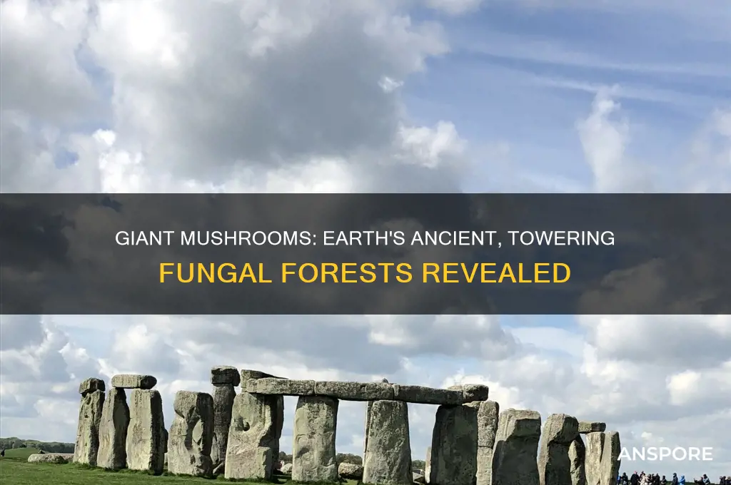 did giant mushrooms once cover the earth