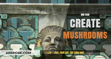 The Mystery of Mushrooms: God's Creation or Nature's Wonder?