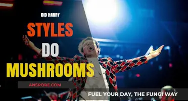 Harry Styles' Mushroom Trip: A Psychedelic Adventure