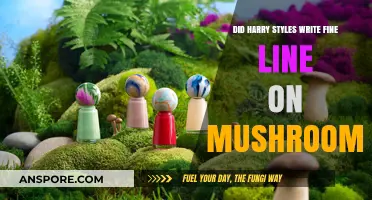 Fine Line and Fungi: Did Mushrooms Inspire Harry Styles' Album?