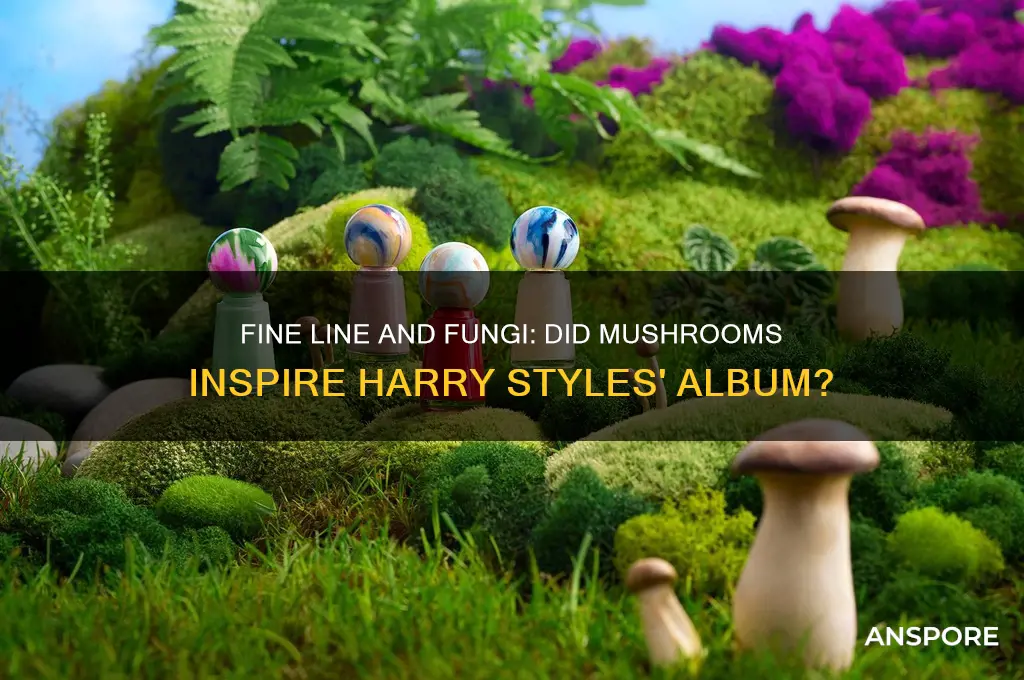 did harry styles write fine line on mushrooms