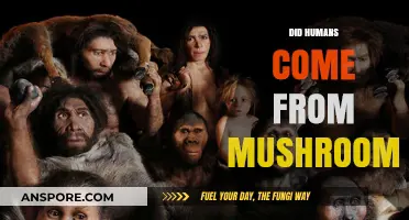 The Fungal Link to Human Evolution