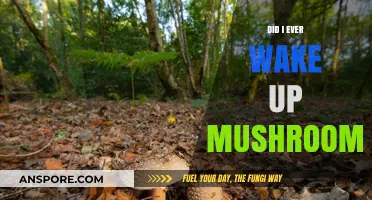 Did I Ever Wake Up Mushrooms? Unveiling the Surprising Truth