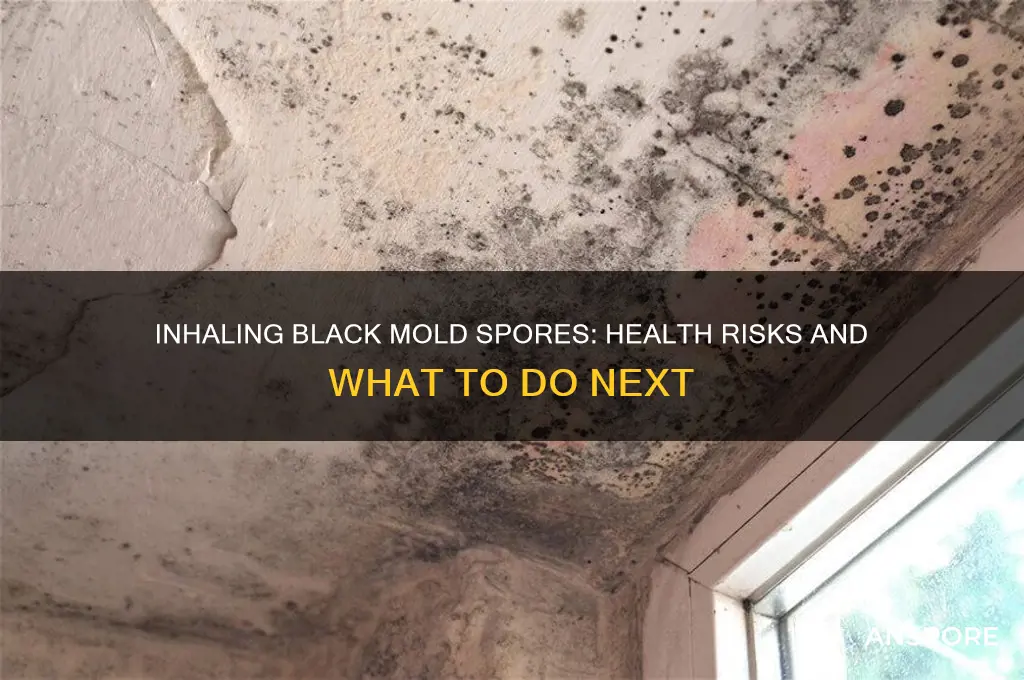 did i inhaling black mold spores
