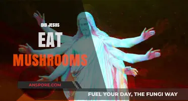 Did Jesus Eat Mushrooms? Exploring Ancient Texts and Theories