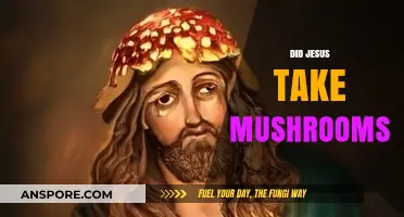 Jesus and Mushrooms: A Spiritual Connection?