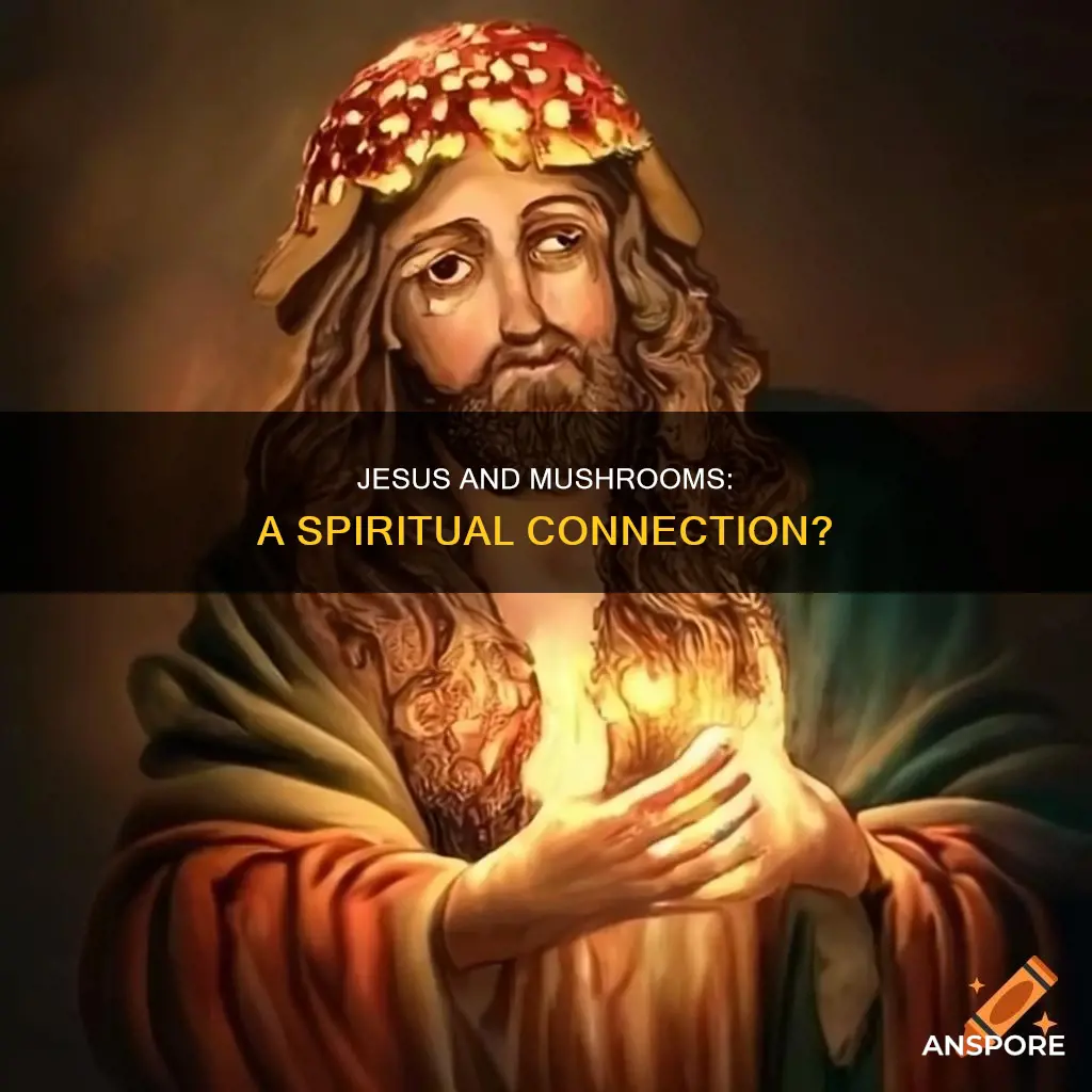 did jesus take mushrooms