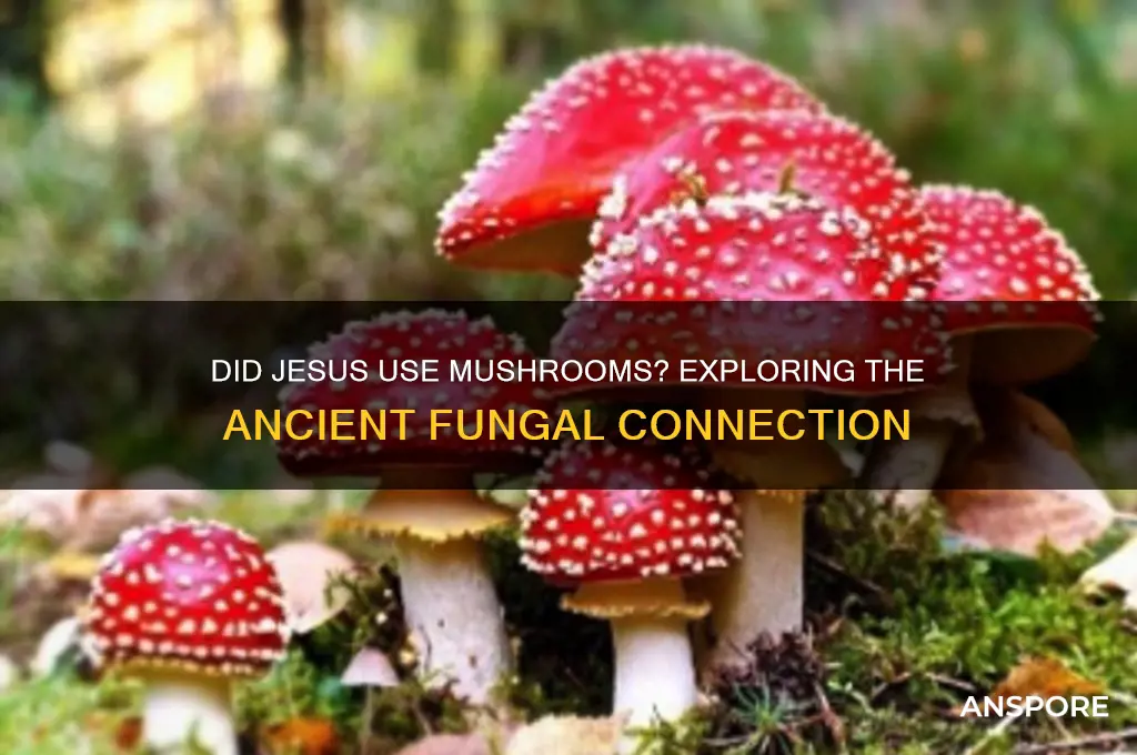 did jesus use mushrooms