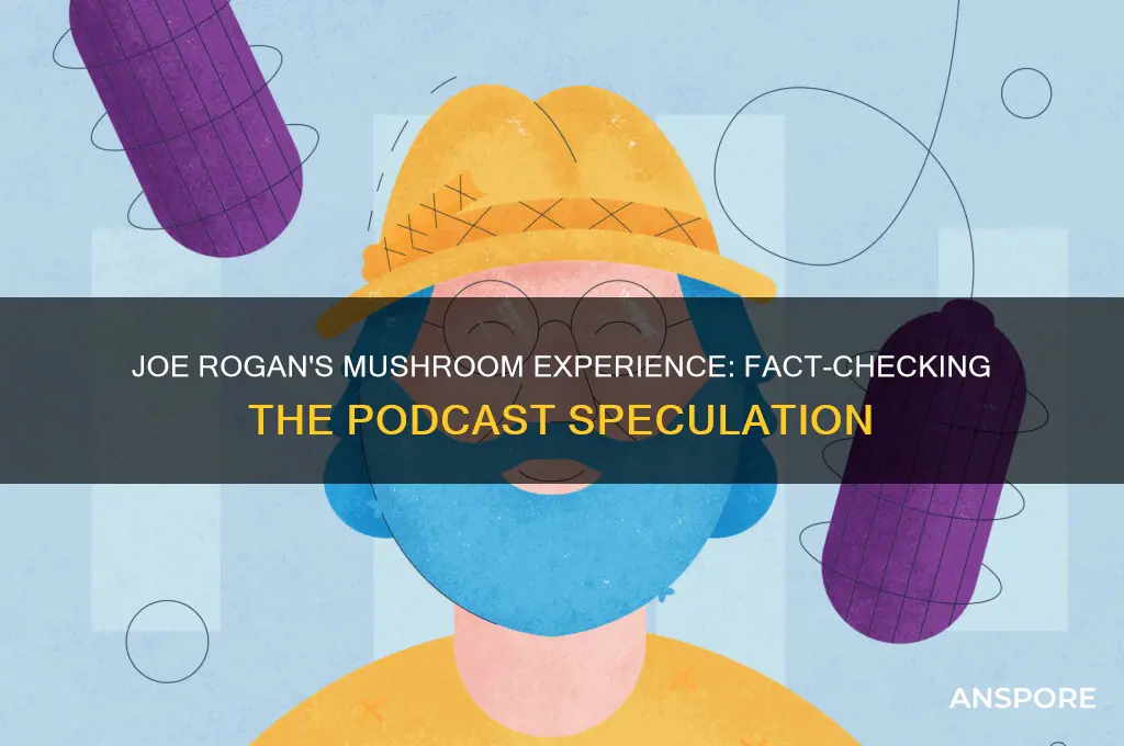 did joe rogan do mushrooms on his podcast