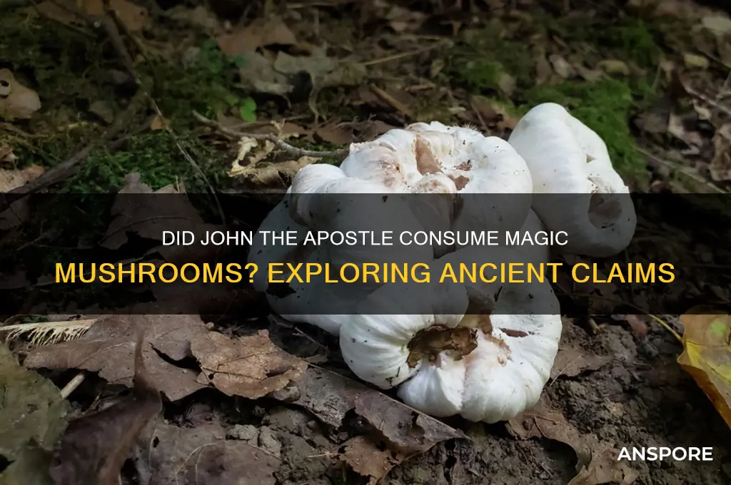 did john the apostle eat magic mushrooms