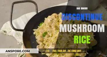 Knorr's Mushroom Rice: Discontinued or Still Available?