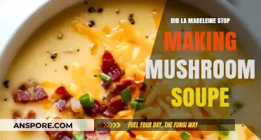 La Madeleine's Mushroom Soup: Discontinued or Still on the Menu?