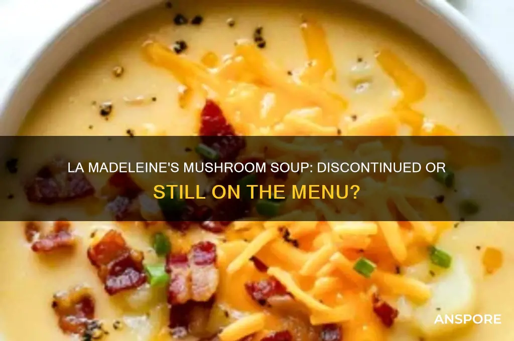 did la madeleine stop making mushroom soupe