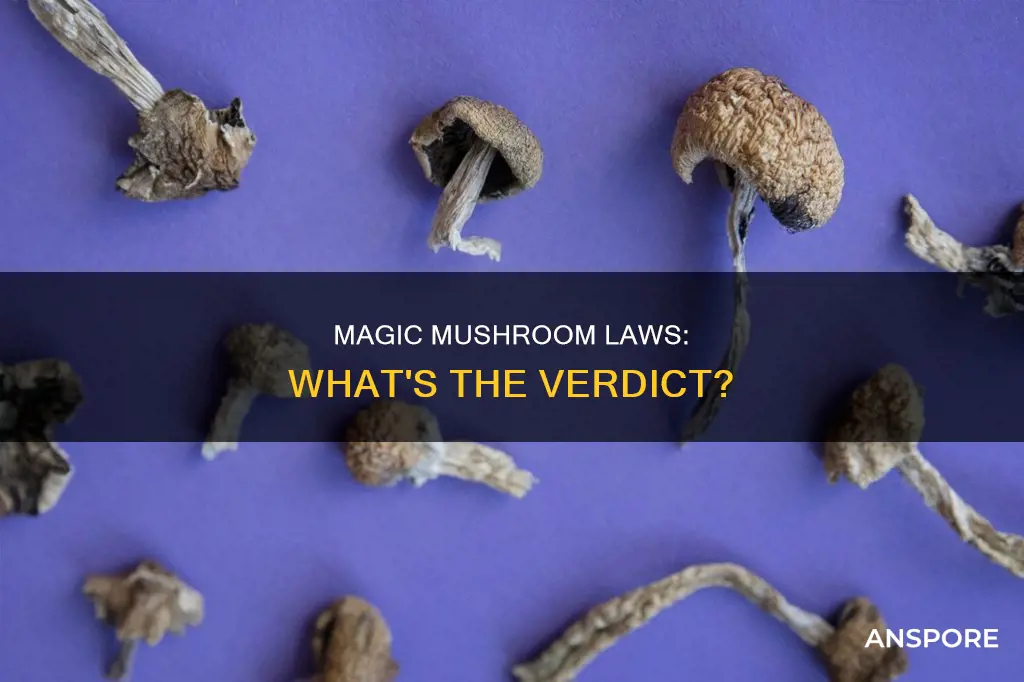 did legislation pass for mushrooms