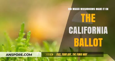 California's Psychedelic Shift: Magic Mushrooms on the 2024 Ballot?