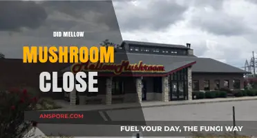 Mellow Mushroom: Closed or Still Serving?