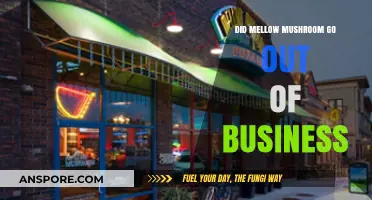 Is Mellow Mushroom Still in Business? Debunking Closure Rumors