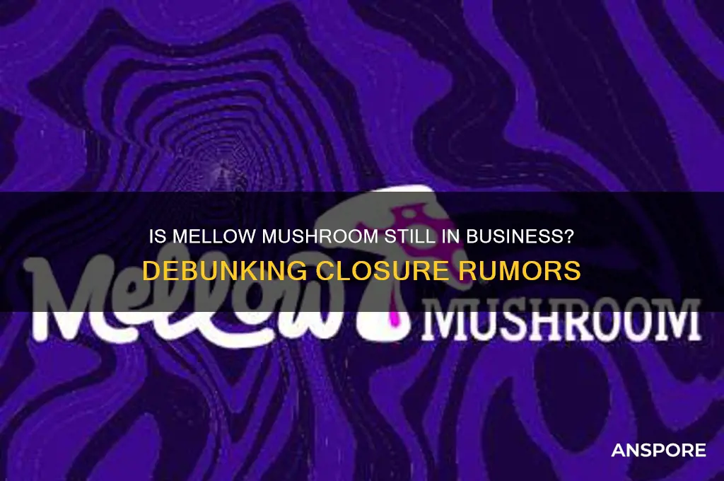 did mellow mushroom go out of business
