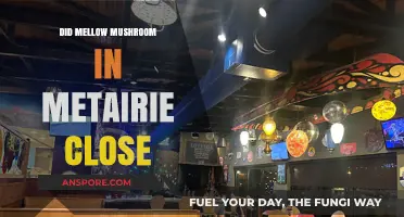 Mellow Mushroom Metairie Closure: What Happened to the Pizzeria?