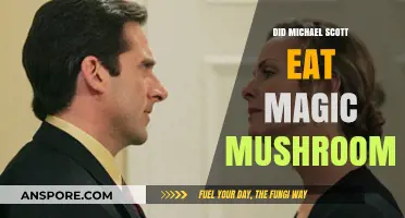 Did Michael Scott's Mushrooms Scene Involve Magic Mushrooms? Unpacked