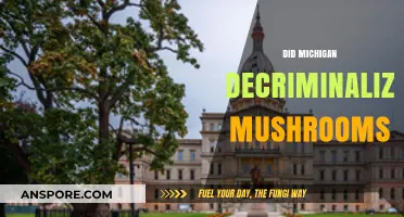 Michigan's New Approach to Psychedelic Mushrooms