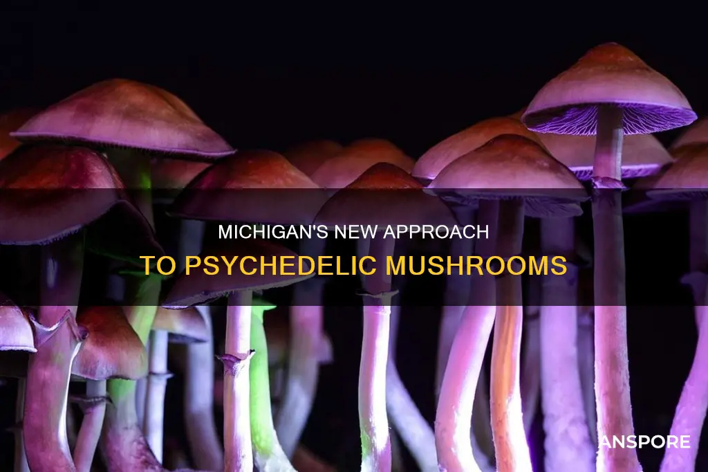 did michigan decriminalize mushrooms