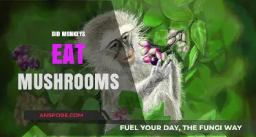 Monkeys and Mushrooms: Unraveling the Truth Behind Their Dietary Habits