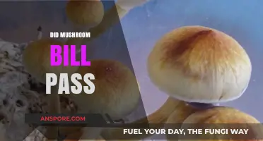 Mushroom Bill: What's the Verdict?