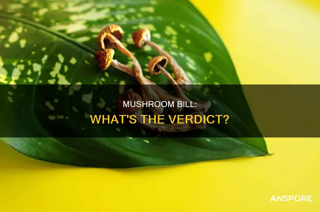 did mushroom bill pass