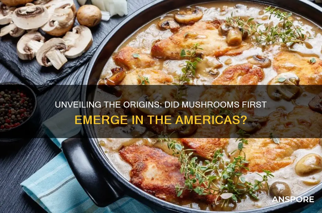 did mushroom come from the americas