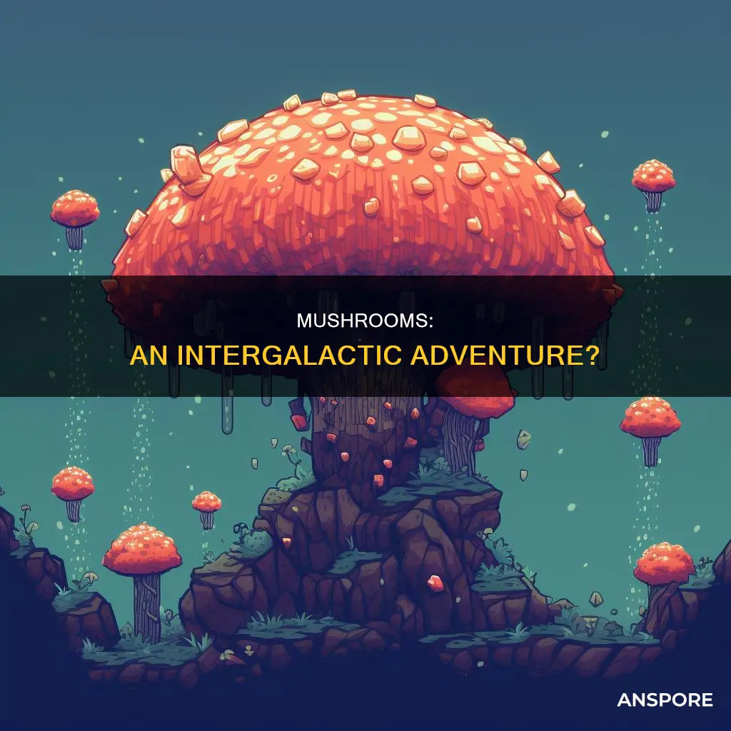 did mushrooms come from asteroids