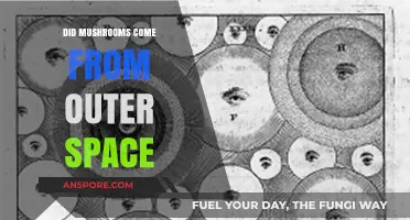 Did Mushrooms Originate from Outer Space? Exploring the Cosmic Fungus Theory