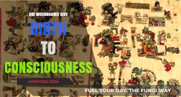 Mushrooms and the Origins of Consciousness: Unraveling the Psychedelic Mystery
