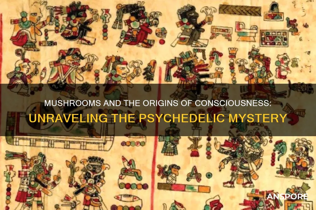 did mushrooms give birth to consciousness