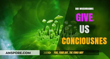 How Mushrooms May Have Gifted Us Consciousness