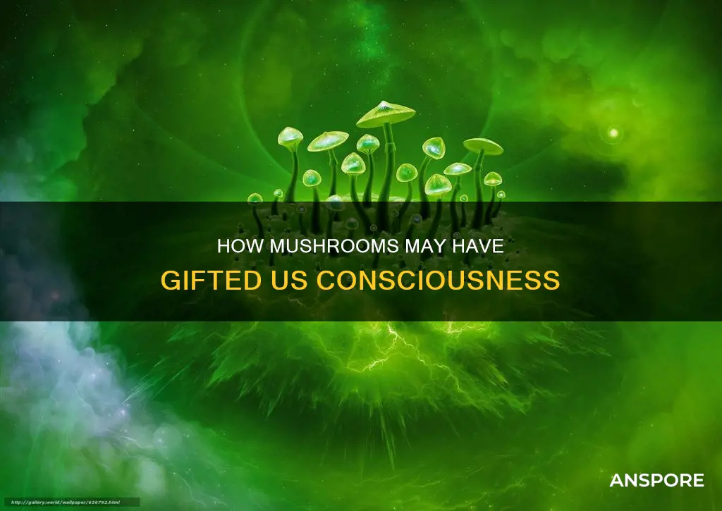 did mushrooms give us conciousness