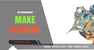 Did Mushrooms Shape Human Evolution? Exploring the Psychedelic Connection