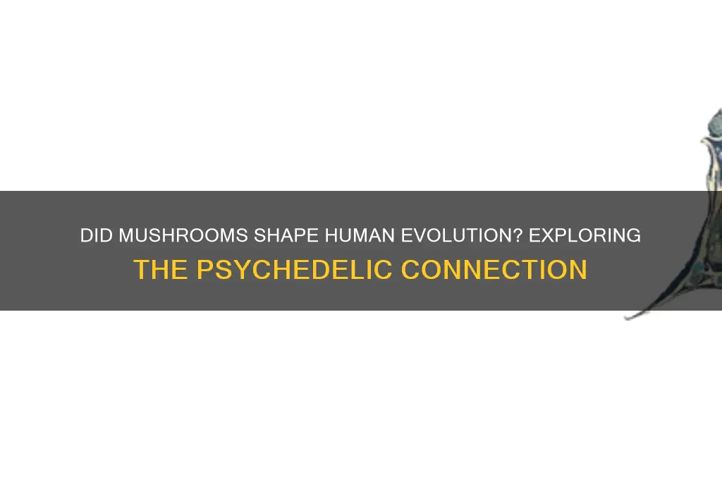 did mushrooms make humans
