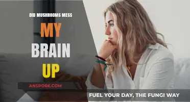 Mushrooms and Mind: Unraveling the Truth About Brain Effects