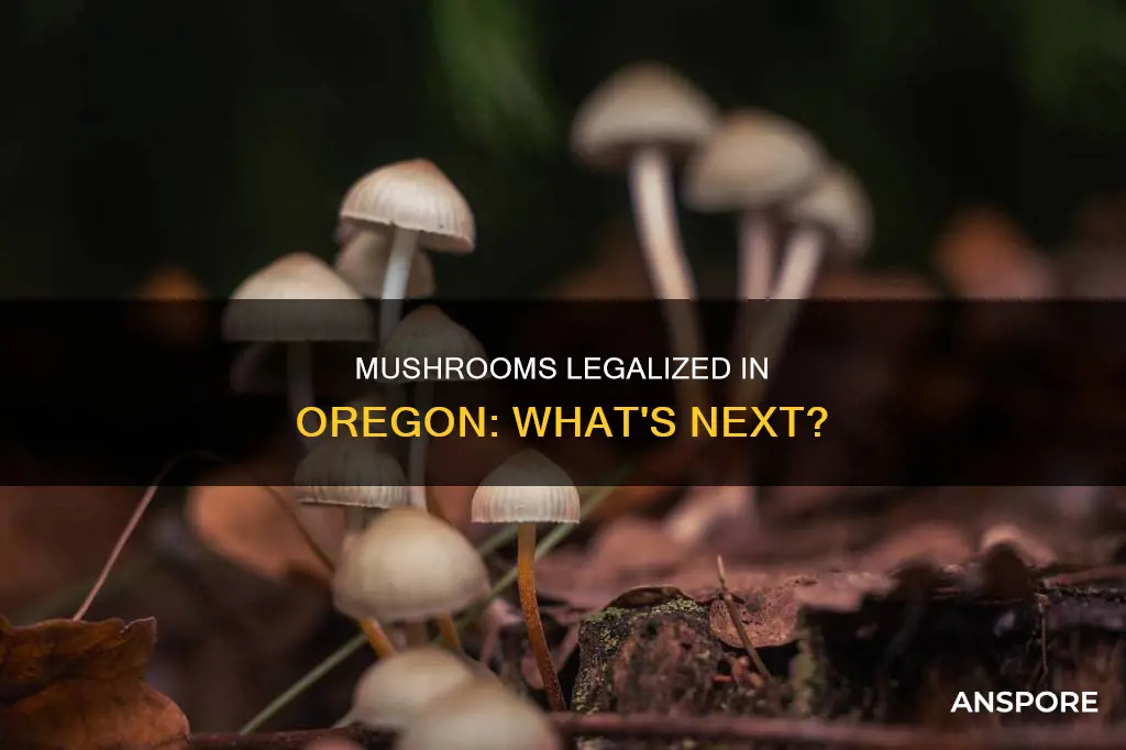 did mushrooms pass in oregon