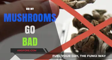How to Tell If Your Mushrooms Have Gone Bad: A Guide