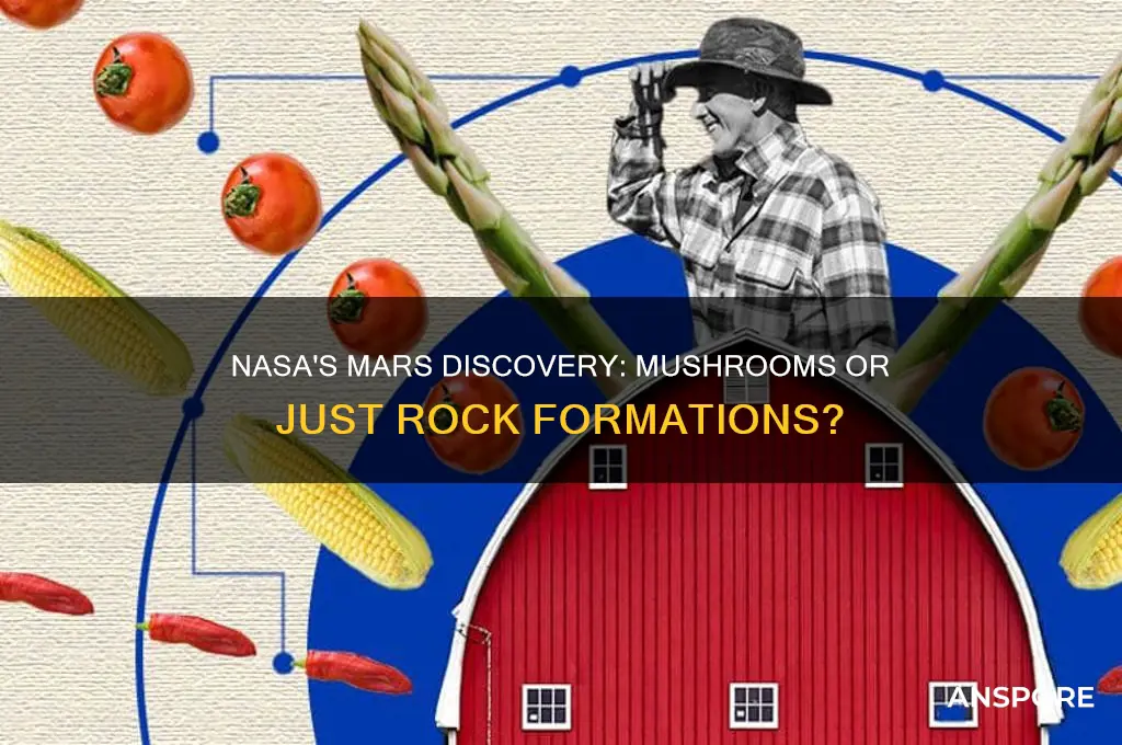 did nasa find mushrooms on mars