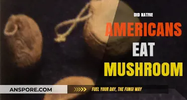 Exploring Native American Cuisine: Mushrooms in Traditional Diets