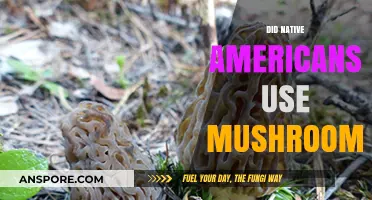 Exploring Native American Traditions: Mushroom Use in Indigenous Cultures