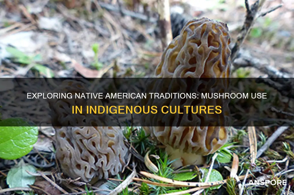 did native americans use mushrooms