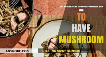 Noodles & Company's Japanese Pan: Did Mushrooms Disappear?