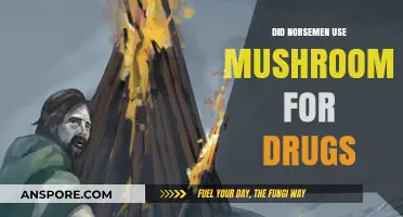 Did Norsemen Use Mushrooms as Psychoactive Substances in Ancient Times?