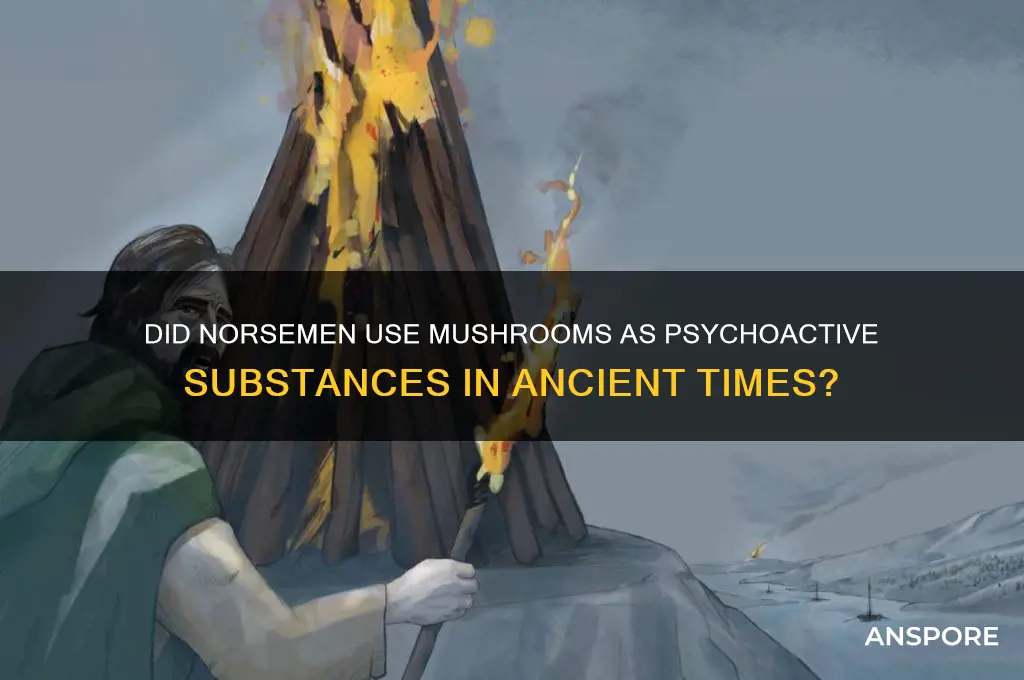 did norsemen use mushrooms for drugs